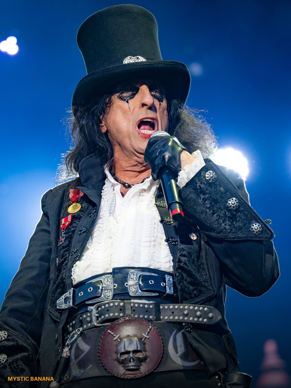Alice Cooper birth chart portrait