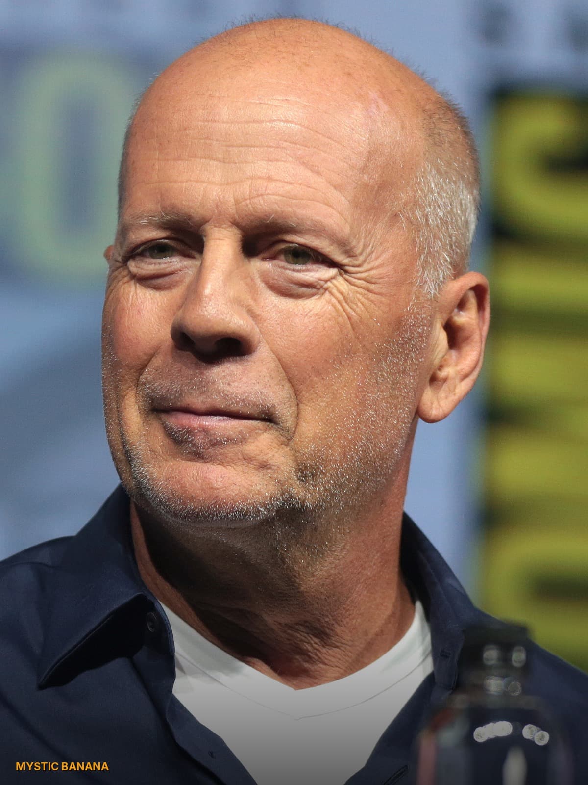 Bruce Willis birth chart and astrology — Sun Pisces, Moon Capricorn